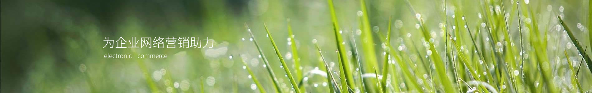 հƼ޹˾